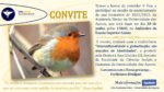 cartaz – convite