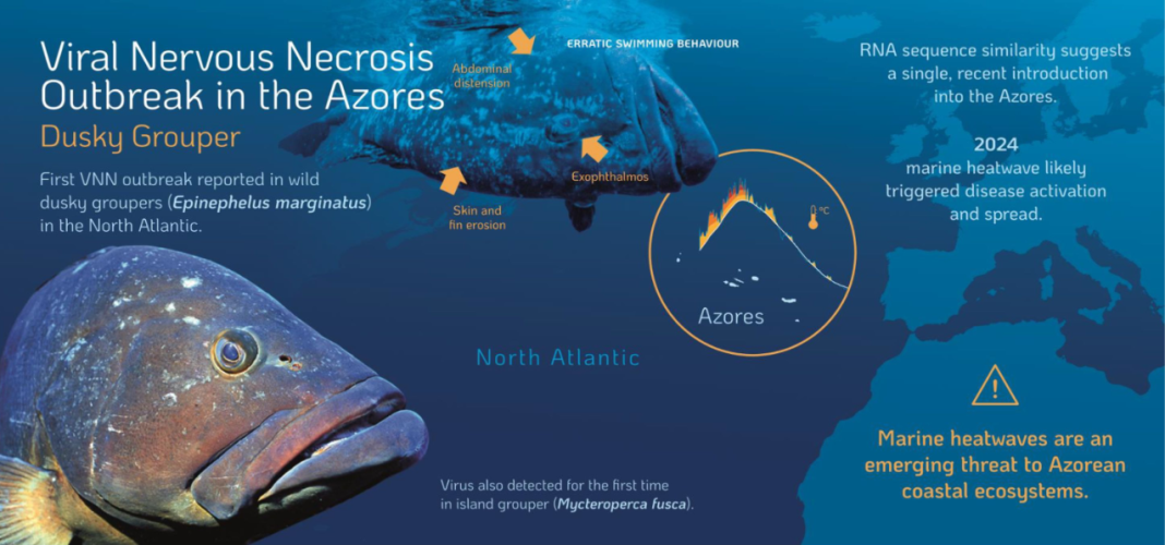 UACiencia_5 abril 2026