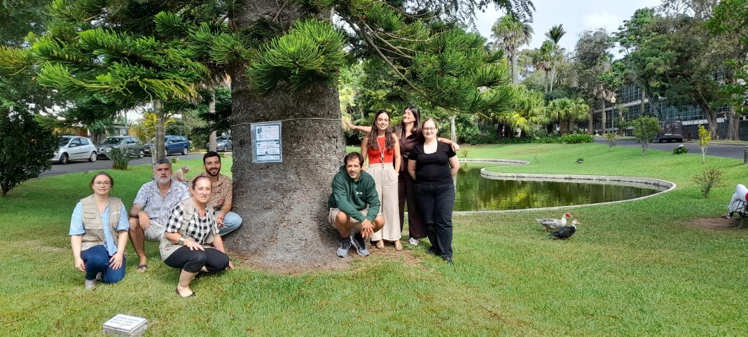 treetag_uac_pdl (1)